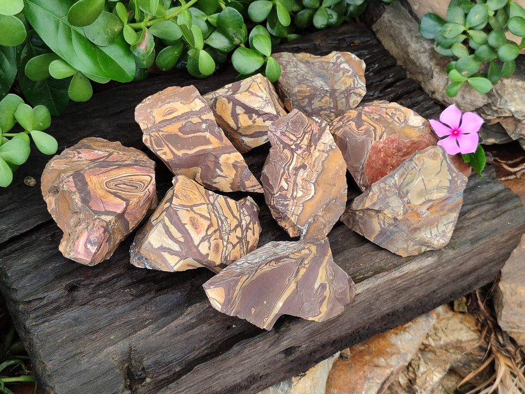 Natural Nguni Jasper Cobbed Specimens x 12 From Prieska, South Africa - Toprock Gemstones and Minerals 