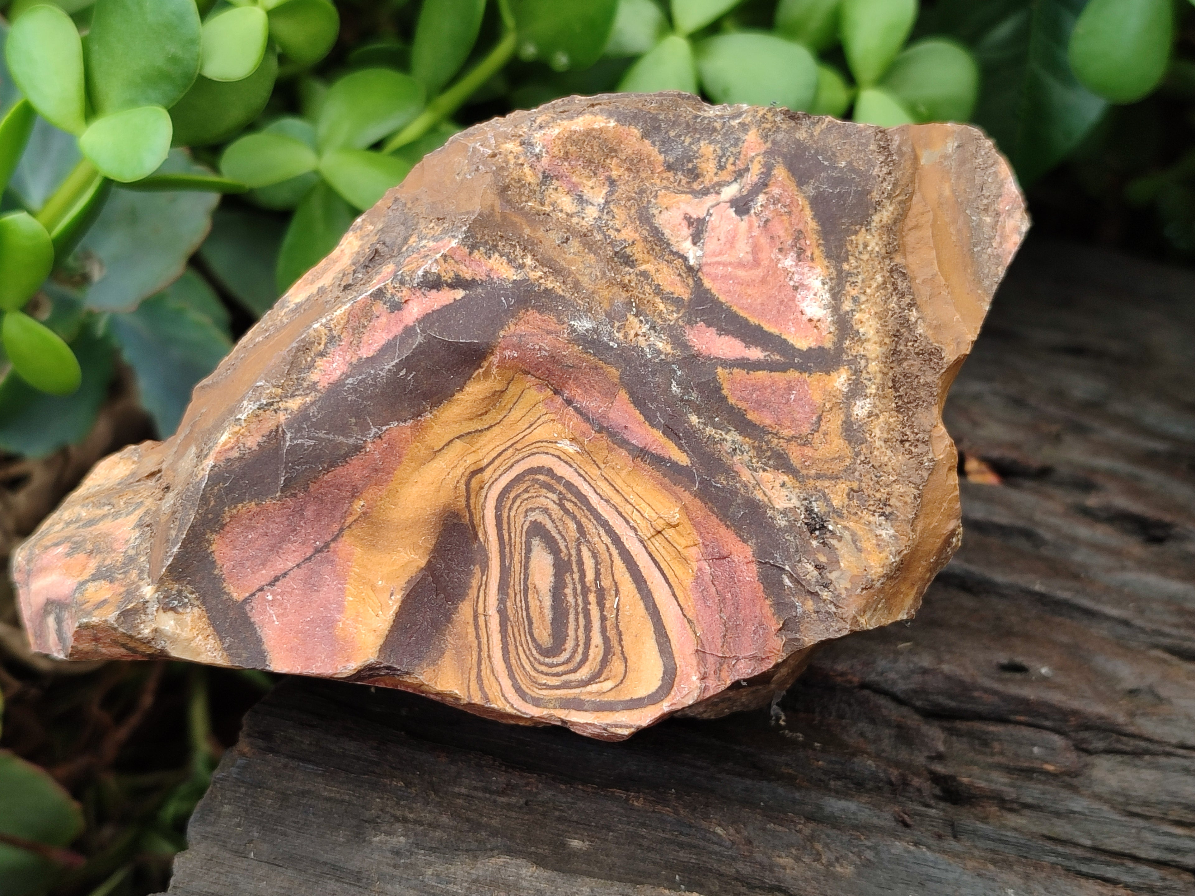 Natural Nguni Jasper Cobbed Specimens x 12 From Prieska, South Africa - Toprock Gemstones and Minerals 