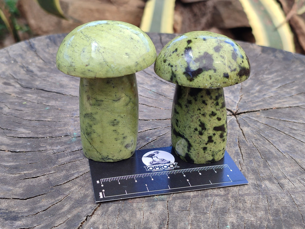 Polished Leopard Stone Mushrooms x 6 From Zimbabwe - Toprock Gemstones and Minerals 