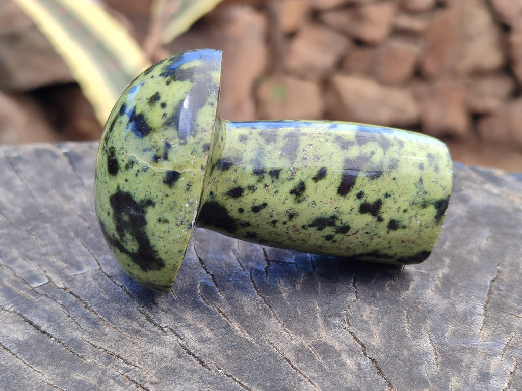 Polished Leopard Stone Mushrooms x 6 From Zimbabwe - Toprock Gemstones and Minerals 