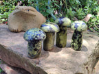 Polished Leopard Stone Mushrooms x 6 From Zimbabwe - Toprock Gemstones and Minerals 