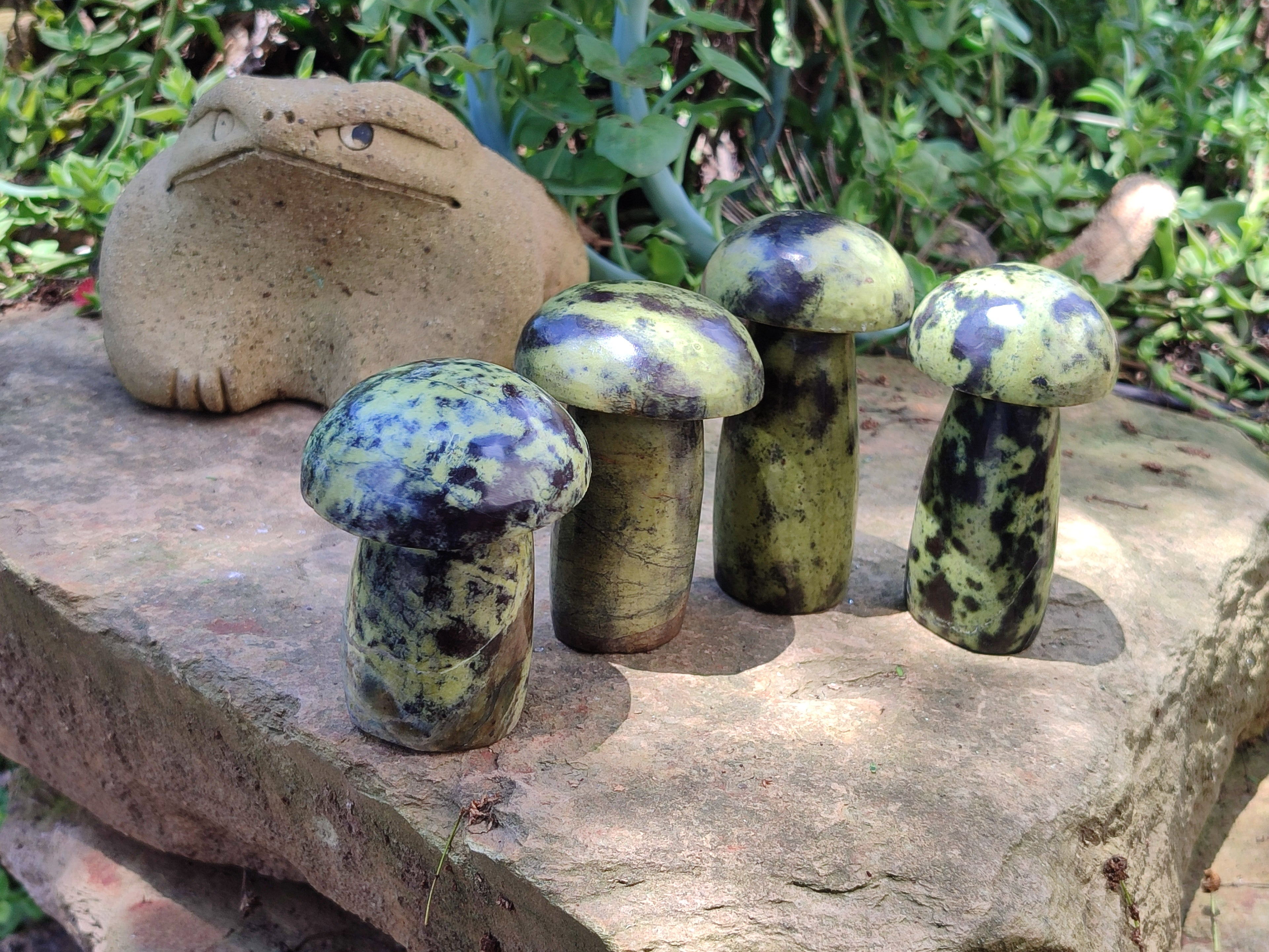 Polished Leopard Stone Mushrooms x 6 From Zimbabwe - Toprock Gemstones and Minerals 