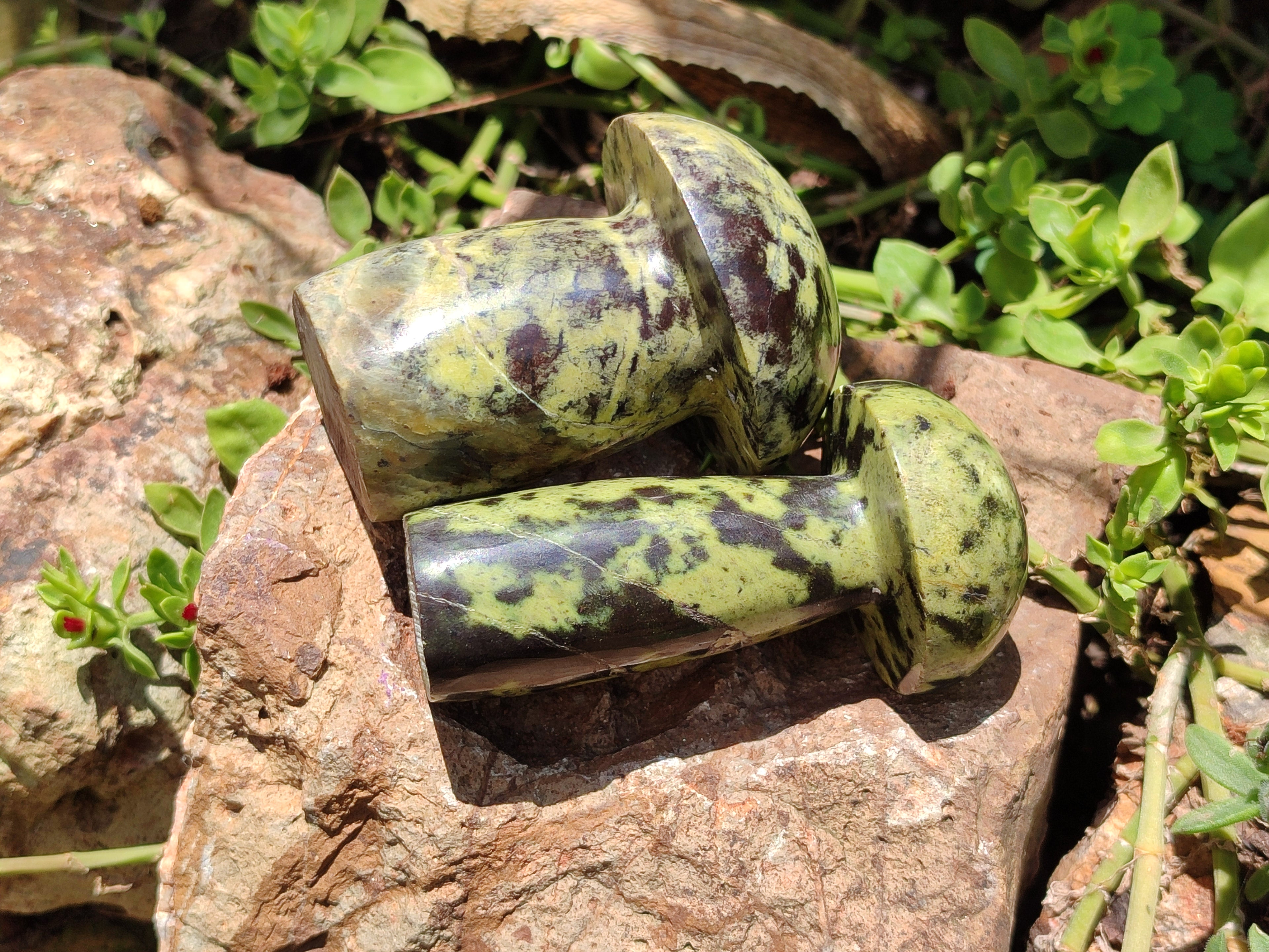 Polished Leopard Stone Mushrooms x 6 From Zimbabwe - Toprock Gemstones and Minerals 