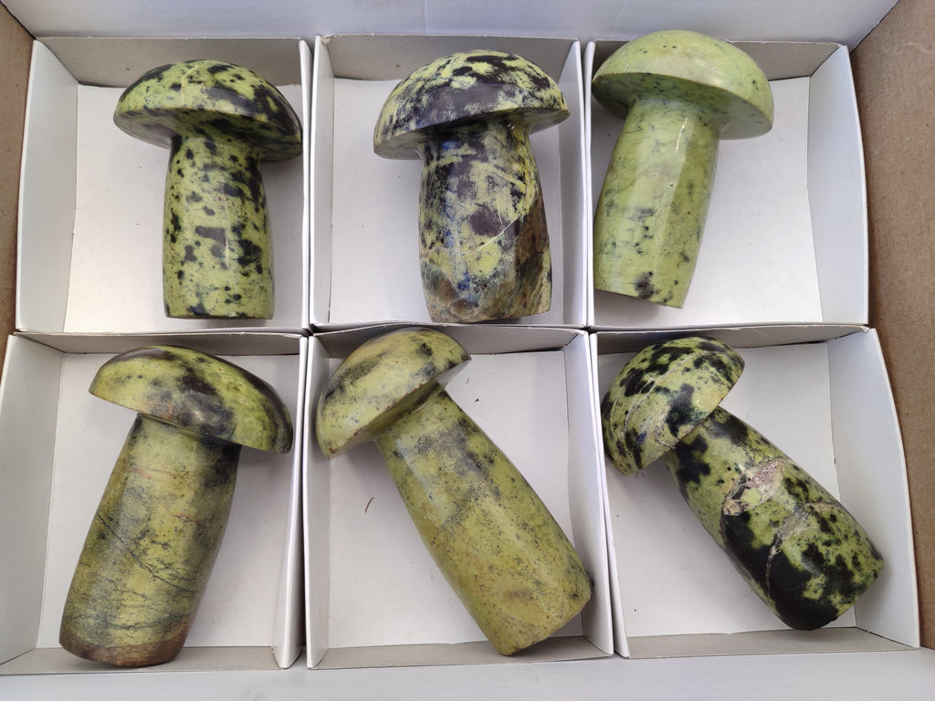 Polished Leopard Stone Mushrooms x 6 From Zimbabwe - Toprock Gemstones and Minerals 