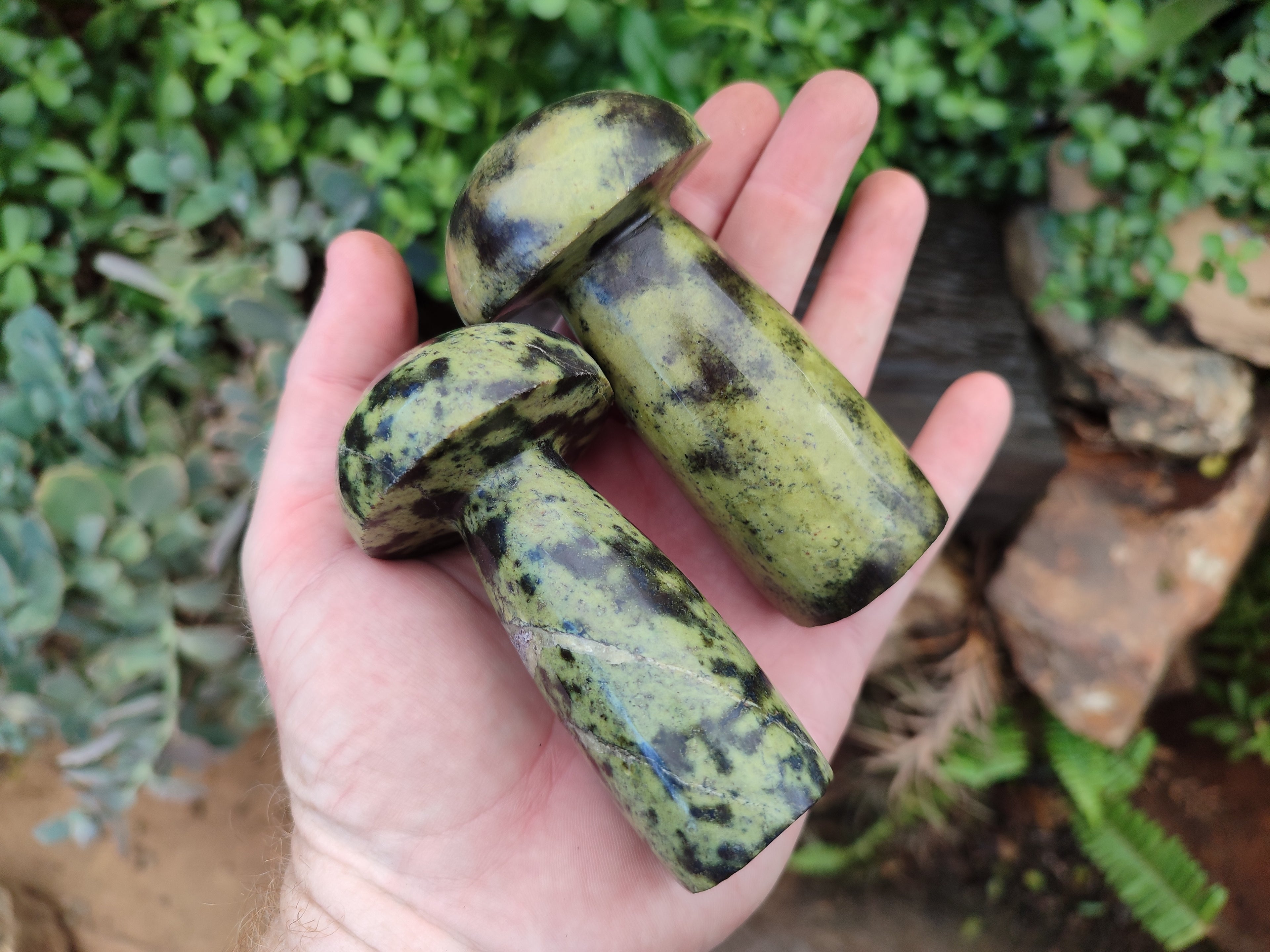 Polished Leopard Stone Mushrooms x 6 From Zimbabwe - Toprock Gemstones and Minerals 