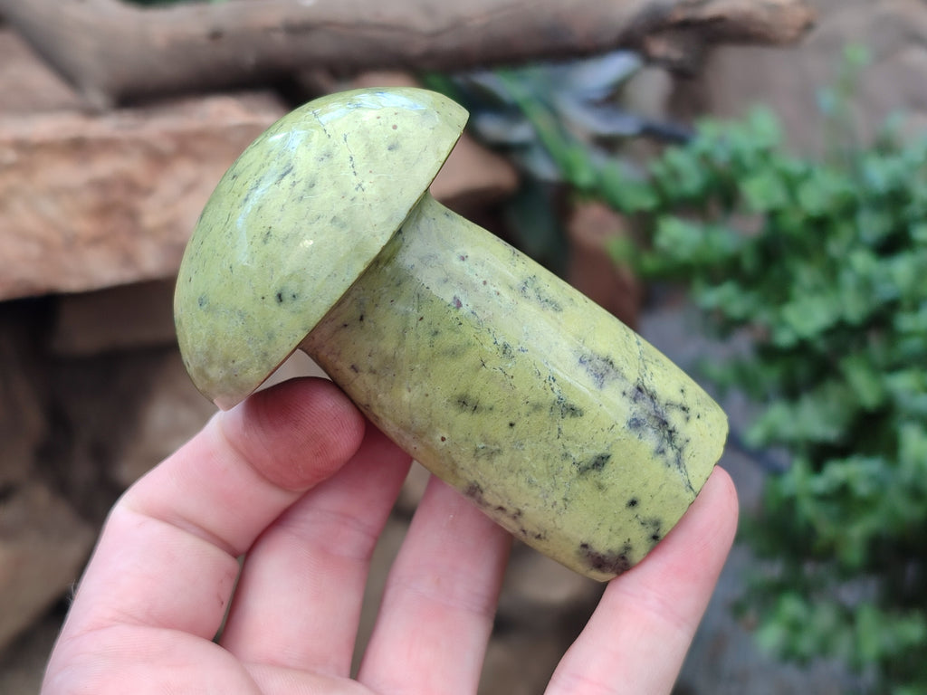 Polished Leopard Stone Mushrooms x 6 From Zimbabwe - Toprock Gemstones and Minerals 