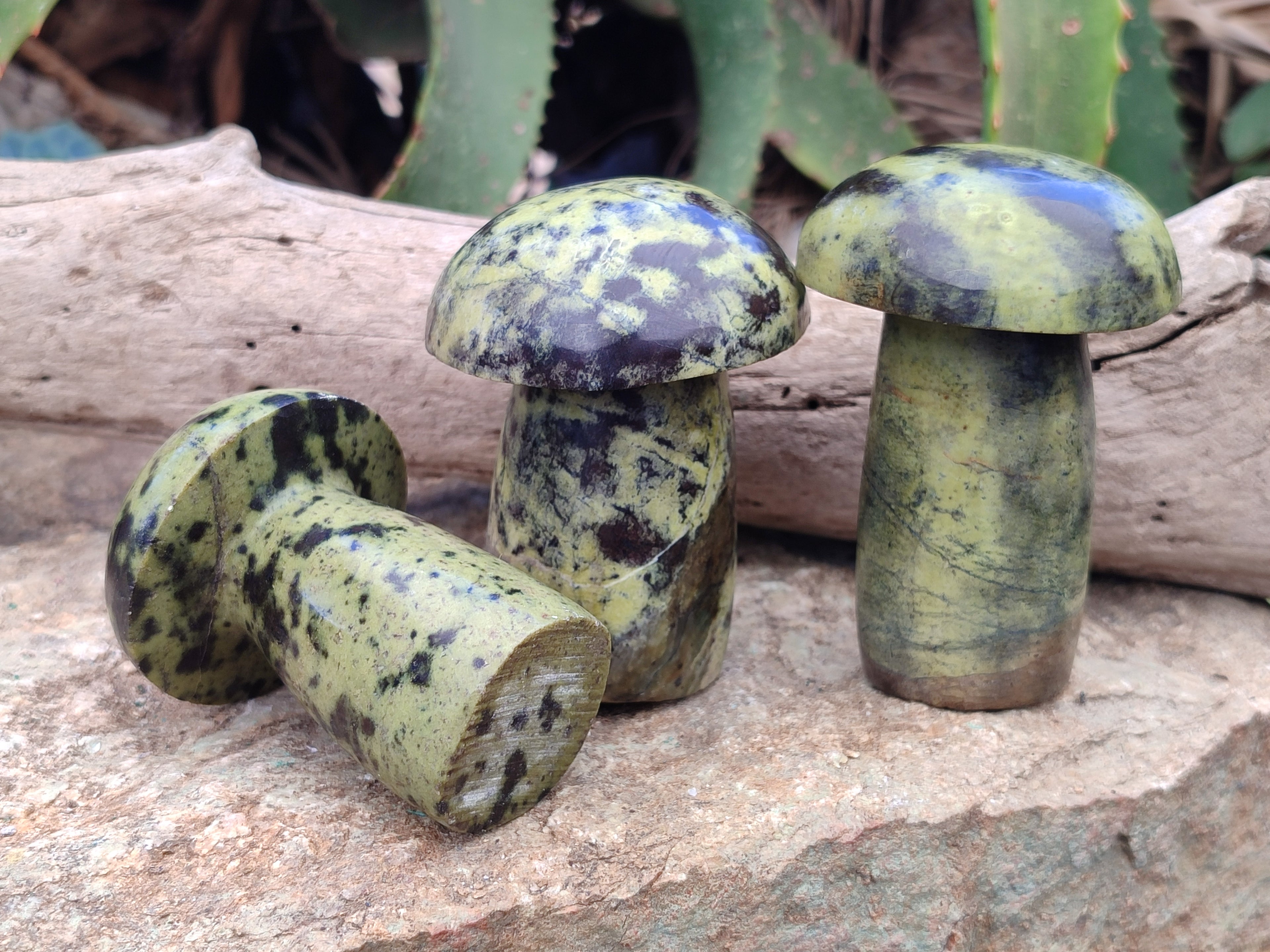 Polished Leopard Stone Mushrooms x 6 From Zimbabwe - Toprock Gemstones and Minerals 