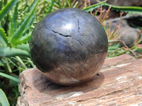 Polished Pharaoh Stone Sphere x 1 From Zimbabwe - Toprock Gemstones and Minerals 