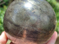 Polished Pharaoh Stone Sphere x 1 From Zimbabwe - Toprock Gemstones and Minerals 