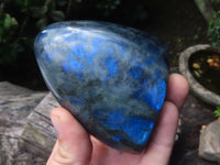 Polished Labradorite Spheres x 4 From Tulear, Madagascar - Toprock Gemstones and Minerals 