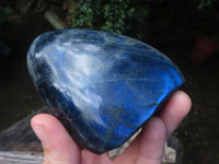 Polished Labradorite Spheres x 4 From Tulear, Madagascar - Toprock Gemstones and Minerals 