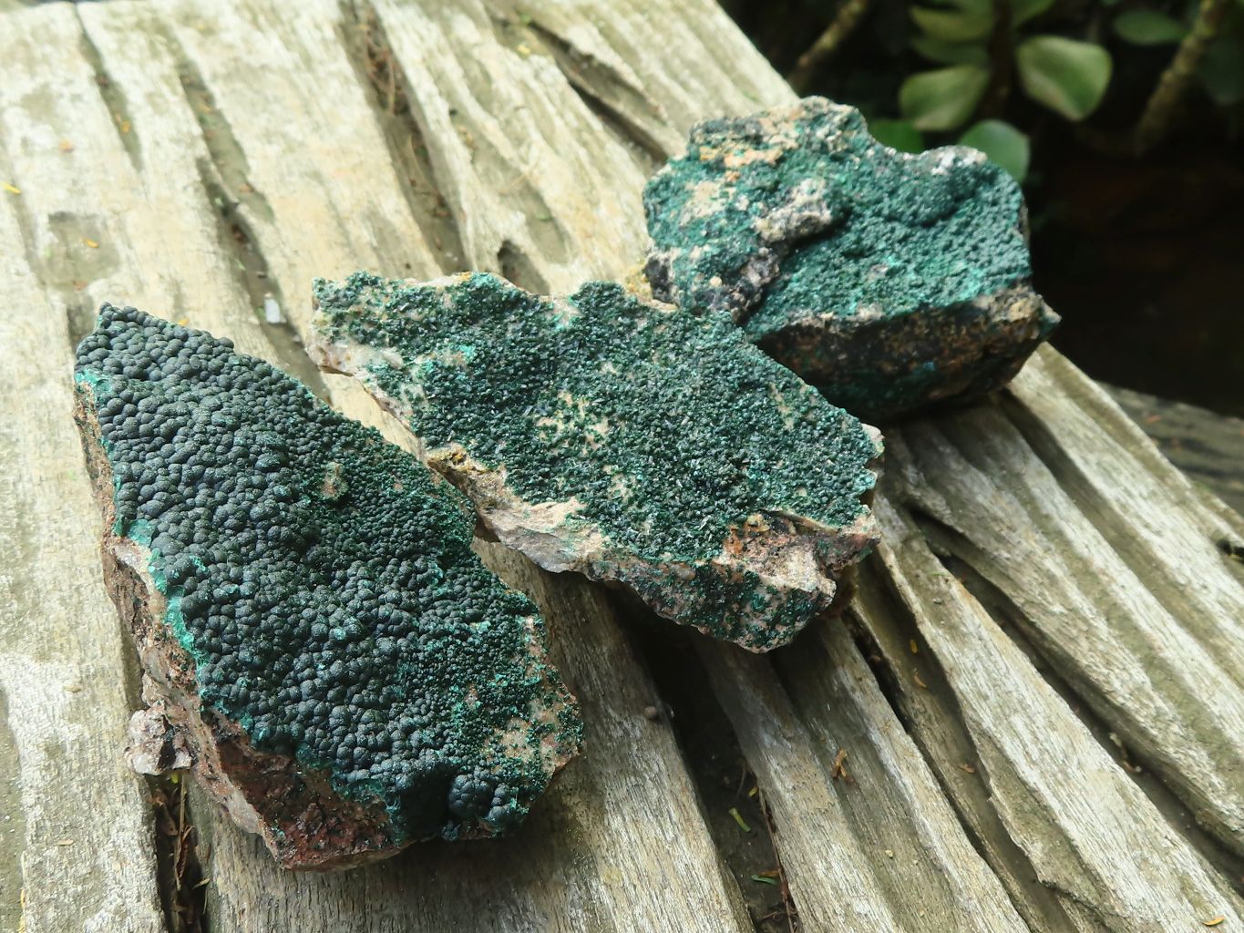 Natural Botryoidal Malachite Specimens x 6 From Congo - Toprock Gemstones and Minerals 