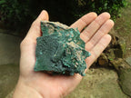 Natural Botryoidal Malachite Specimens x 6 From Congo - Toprock Gemstones and Minerals 