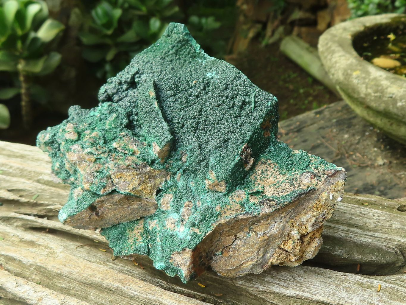 Natural Botryoidal Malachite Specimens x 6 From Congo - Toprock Gemstones and Minerals 