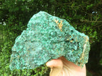 Natural Silky Malachite Specimens x 2 From Kasompe, Congo - Toprock Gemstones and Minerals 