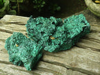 Natural Silky Malachite Specimens x 2 From Kasompe, Congo - Toprock Gemstones and Minerals 