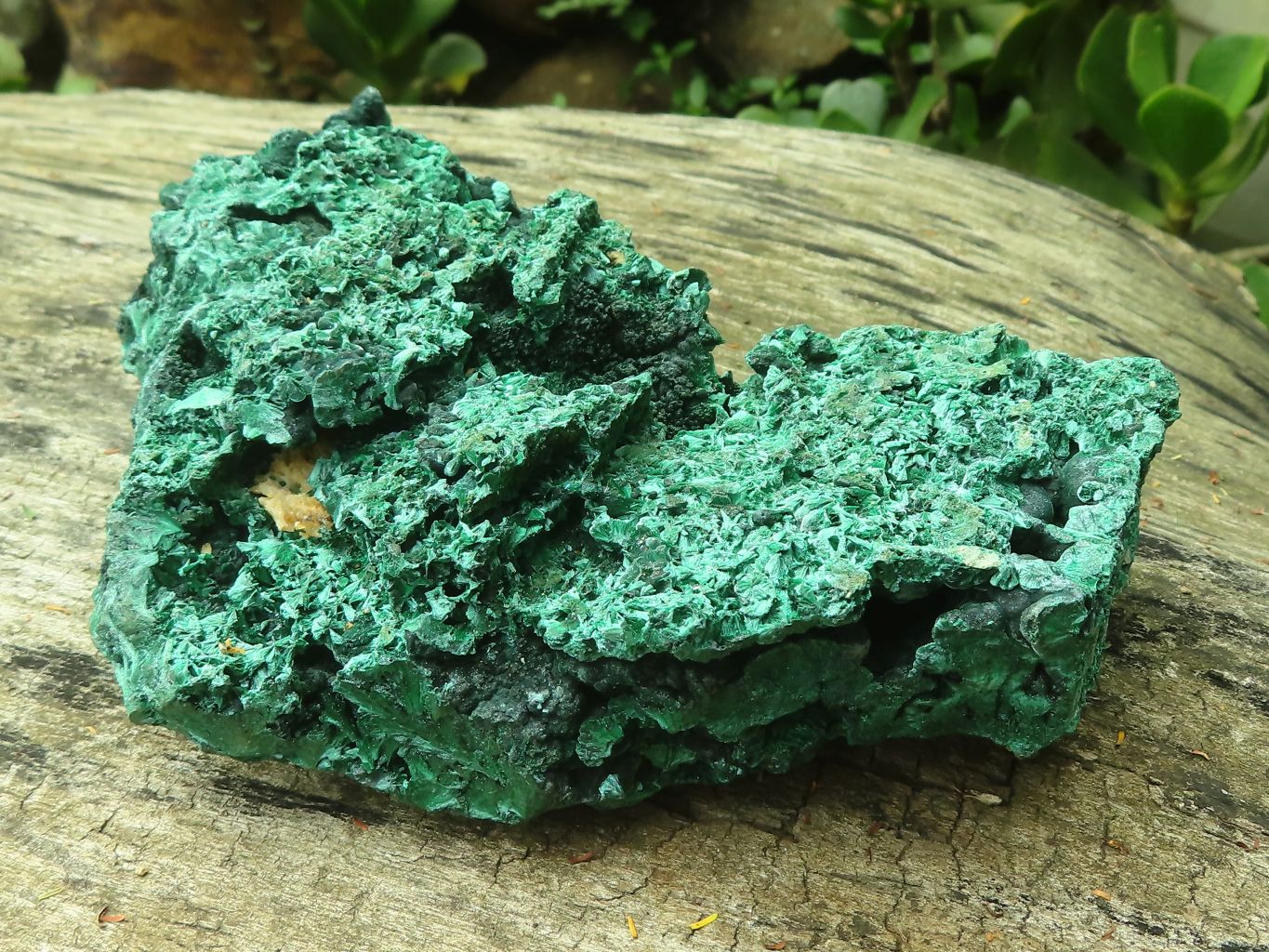 Natural Silky Malachite Specimens x 2 From Kasompe, Congo - Toprock Gemstones and Minerals 