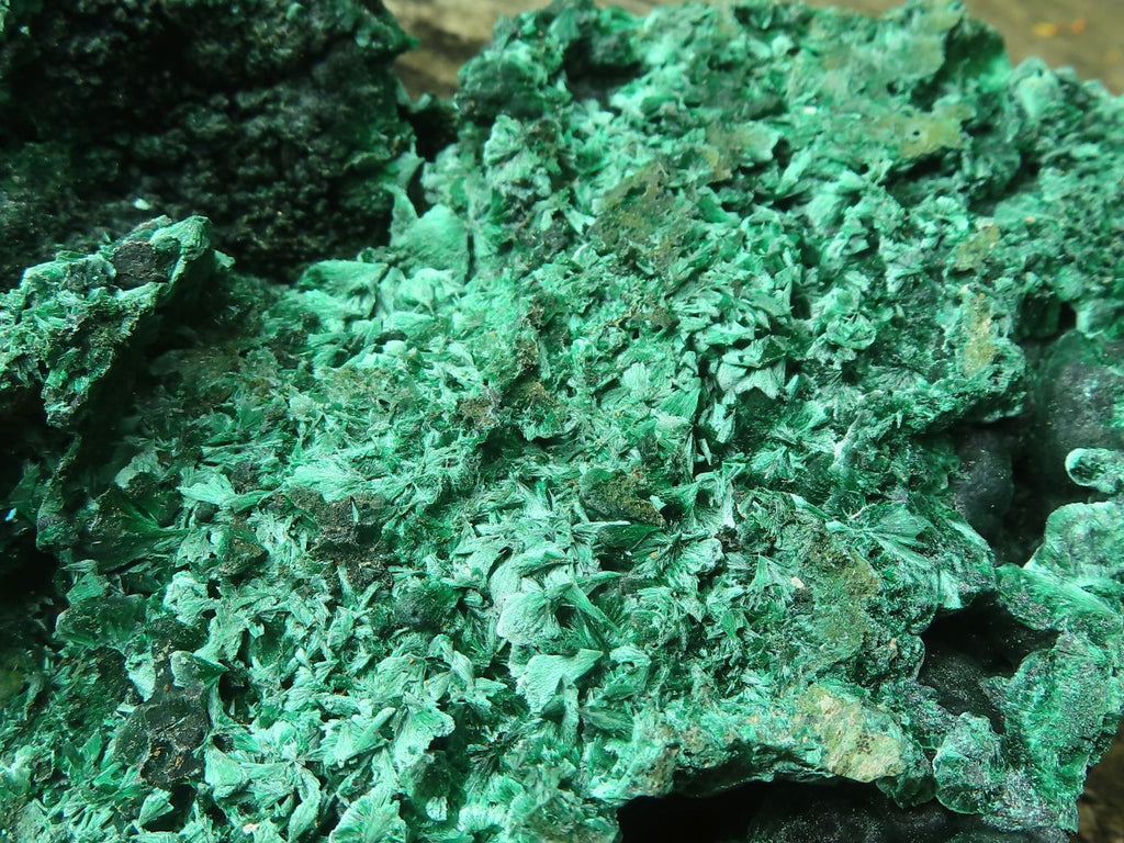 Natural Silky Malachite Specimens x 2 From Kasompe, Congo - Toprock Gemstones and Minerals 