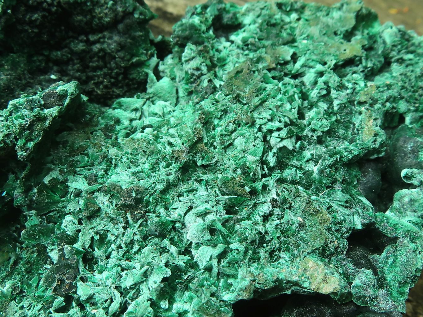Natural Silky Malachite Specimens x 2 From Kasompe, Congo - Toprock Gemstones and Minerals 