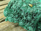Natural Silky Malachite Specimens x 2 From Kasompe, Congo - Toprock Gemstones and Minerals 