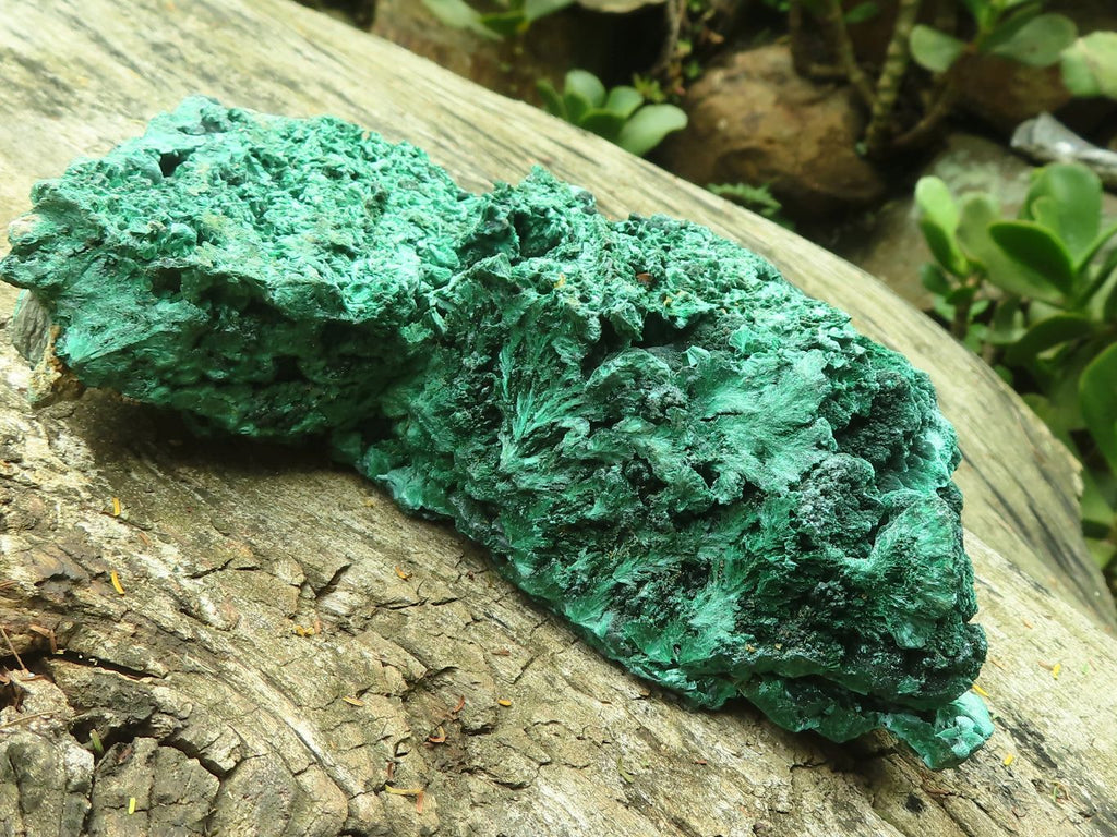 Natural Silky Malachite Specimens x 2 From Kasompe, Congo - Toprock Gemstones and Minerals 