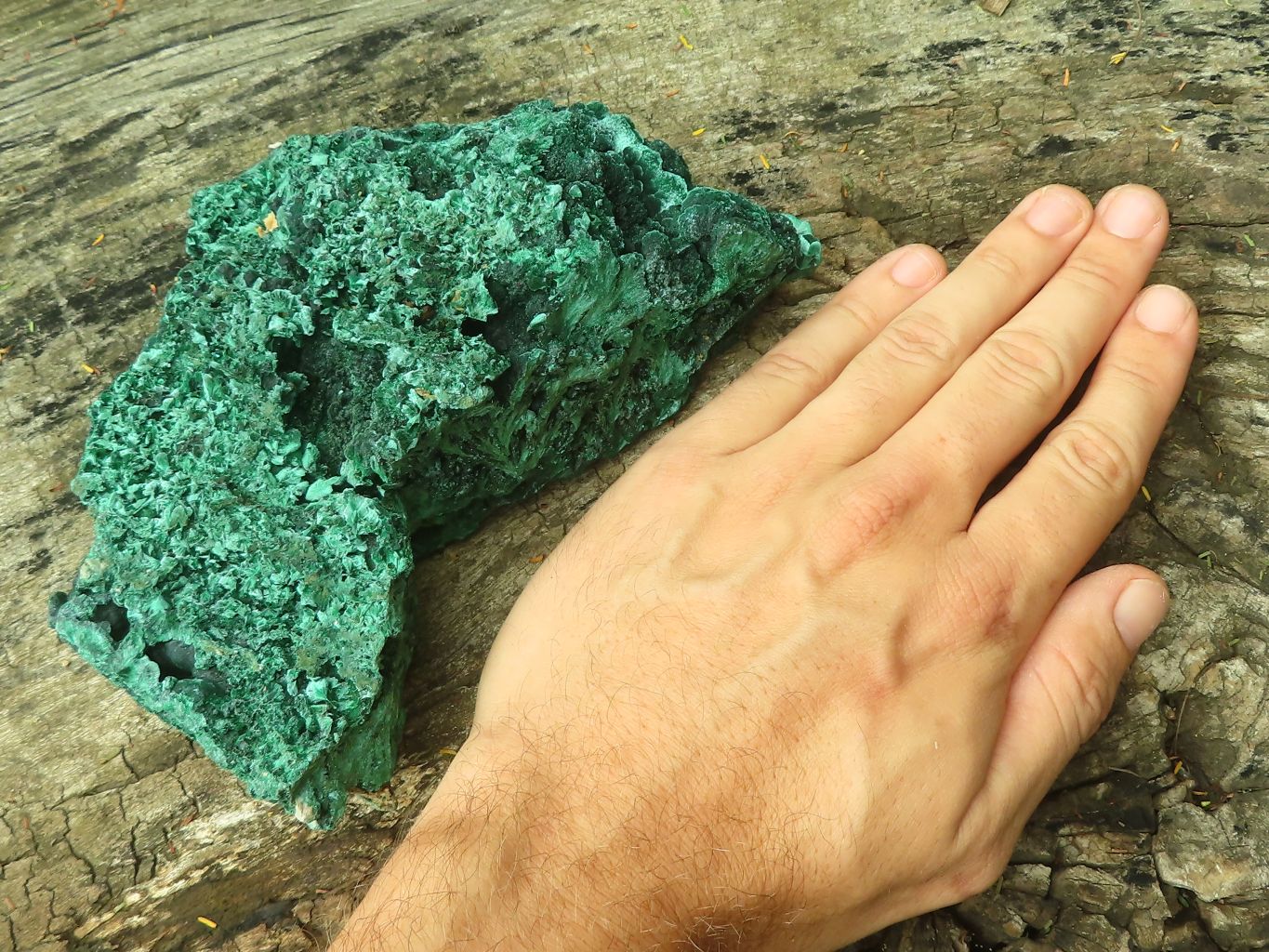 Natural Silky Malachite Specimens x 2 From Kasompe, Congo - Toprock Gemstones and Minerals 