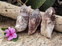 Natural Red Hematoid Quartz Clusters x 12 From Karoi, Zimbabwe - Toprock Gemstones and Minerals 