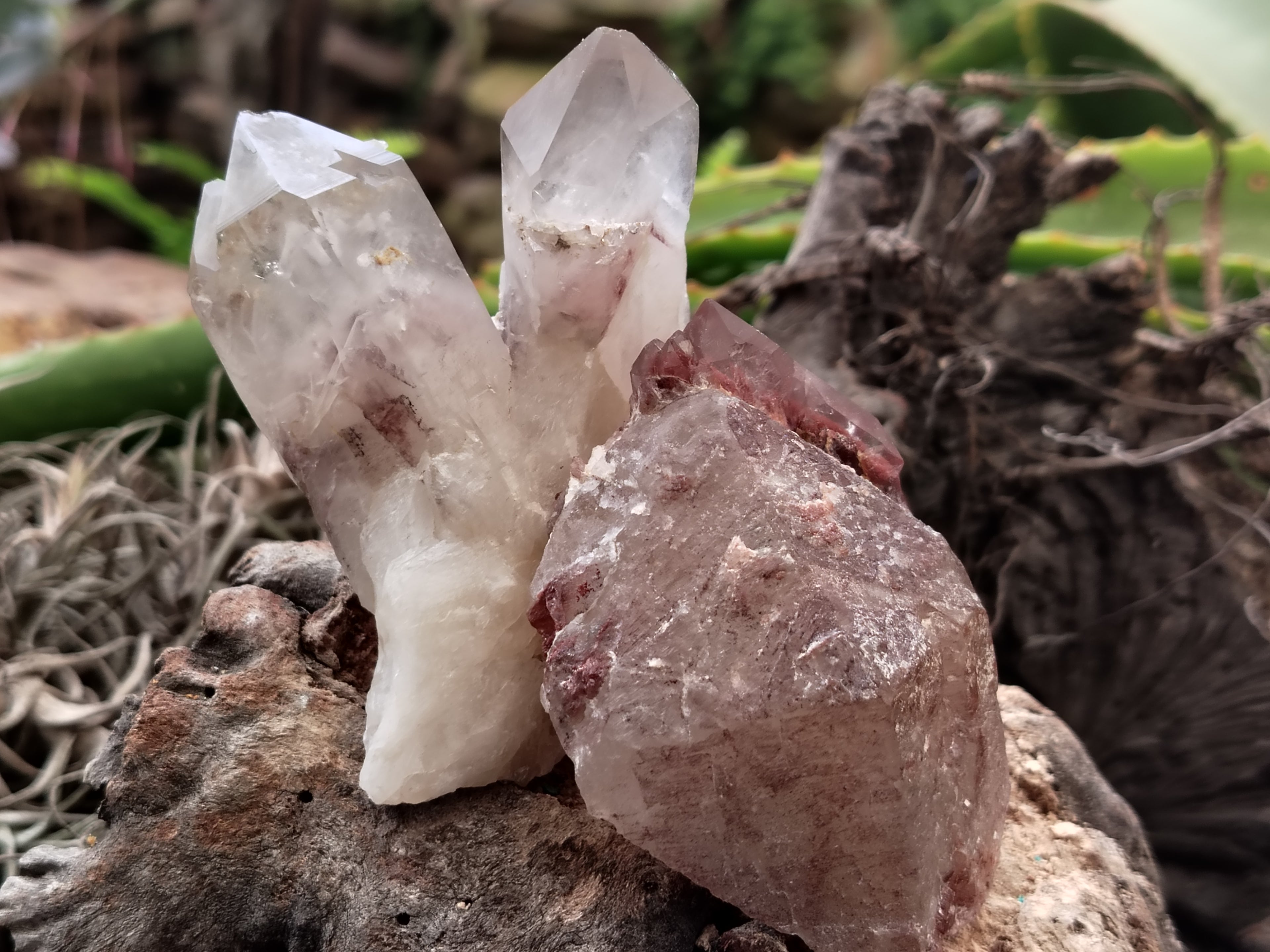 Natural Red Hematoid Quartz Clusters x 12 From Karoi, Zimbabwe - Toprock Gemstones and Minerals 
