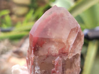 Natural Red Hematoid Quartz Clusters x 12 From Karoi, Zimbabwe - Toprock Gemstones and Minerals 