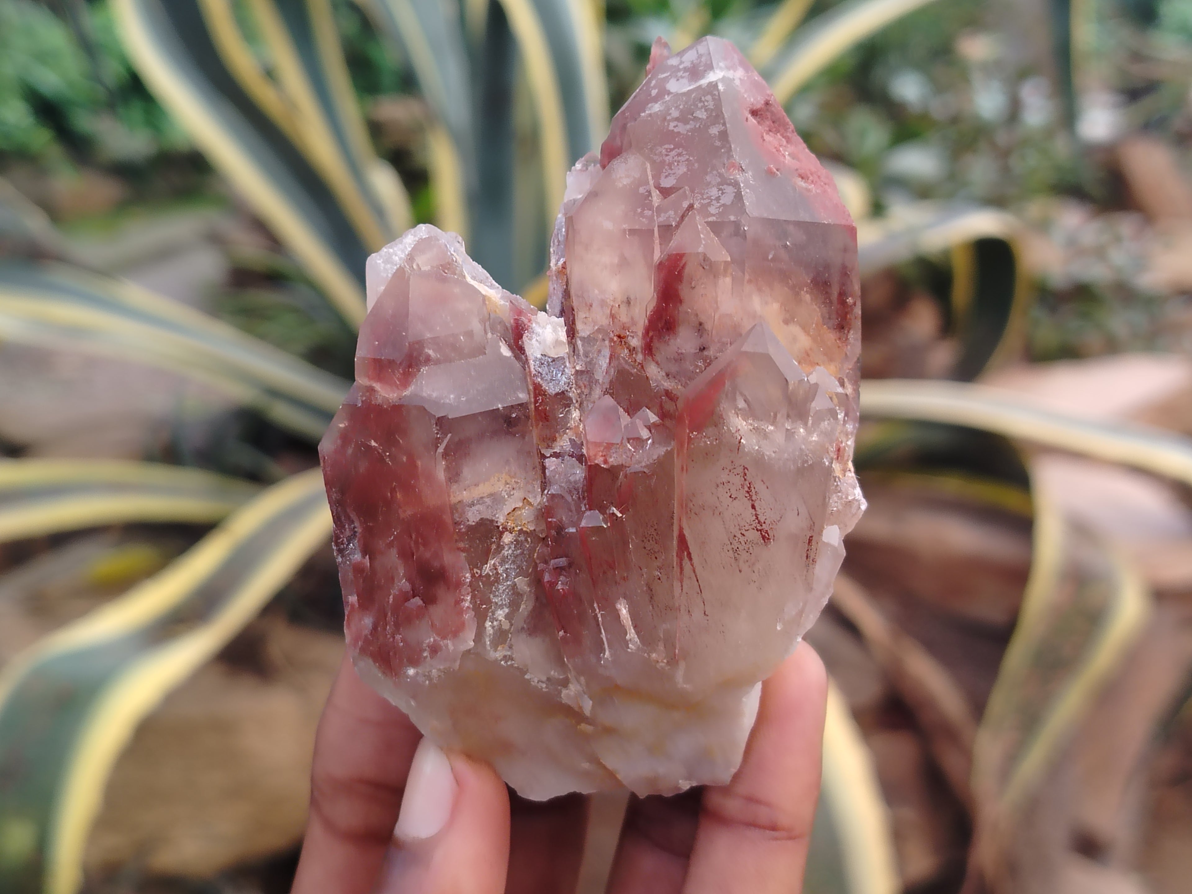 Natural Red Hematoid Quartz Clusters x 12 From Karoi, Zimbabwe - Toprock Gemstones and Minerals 