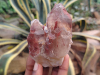 Natural Red Hematoid Quartz Clusters x 12 From Karoi, Zimbabwe - Toprock Gemstones and Minerals 