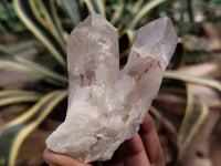 Natural Red Hematoid Quartz Clusters x 12 From Karoi, Zimbabwe - Toprock Gemstones and Minerals 