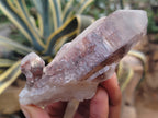 Natural Red Hematoid Quartz Clusters x 12 From Karoi, Zimbabwe - Toprock Gemstones and Minerals 