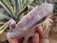 Natural Red Hematoid Quartz Clusters x 12 From Karoi, Zimbabwe - Toprock Gemstones and Minerals 