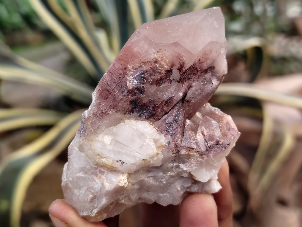 Natural Red Hematoid Quartz Clusters x 12 From Karoi, Zimbabwe - Toprock Gemstones and Minerals 