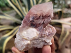 Natural Red Hematoid Quartz Clusters x 12 From Karoi, Zimbabwe - Toprock Gemstones and Minerals 