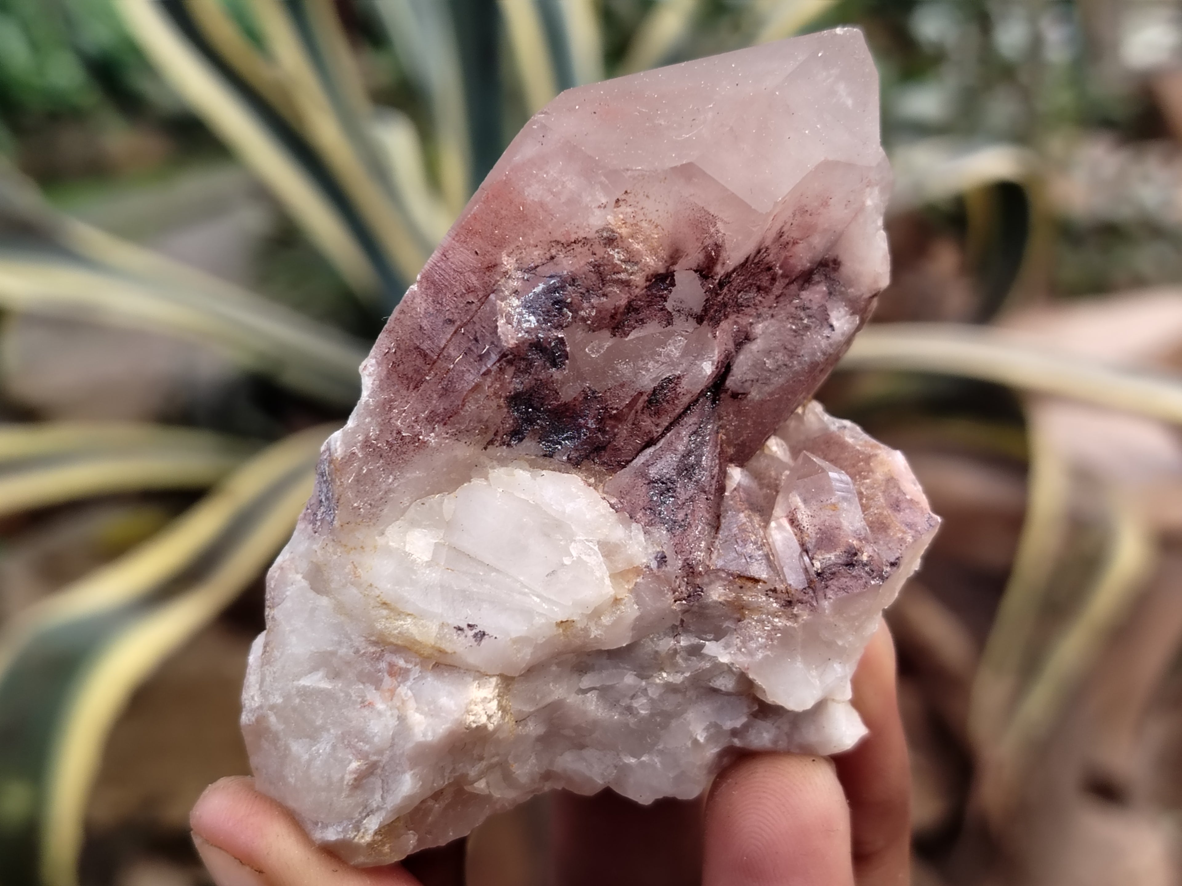 Natural Red Hematoid Quartz Clusters x 12 From Karoi, Zimbabwe - Toprock Gemstones and Minerals 