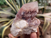 Natural Red Hematoid Quartz Clusters x 12 From Karoi, Zimbabwe - Toprock Gemstones and Minerals 