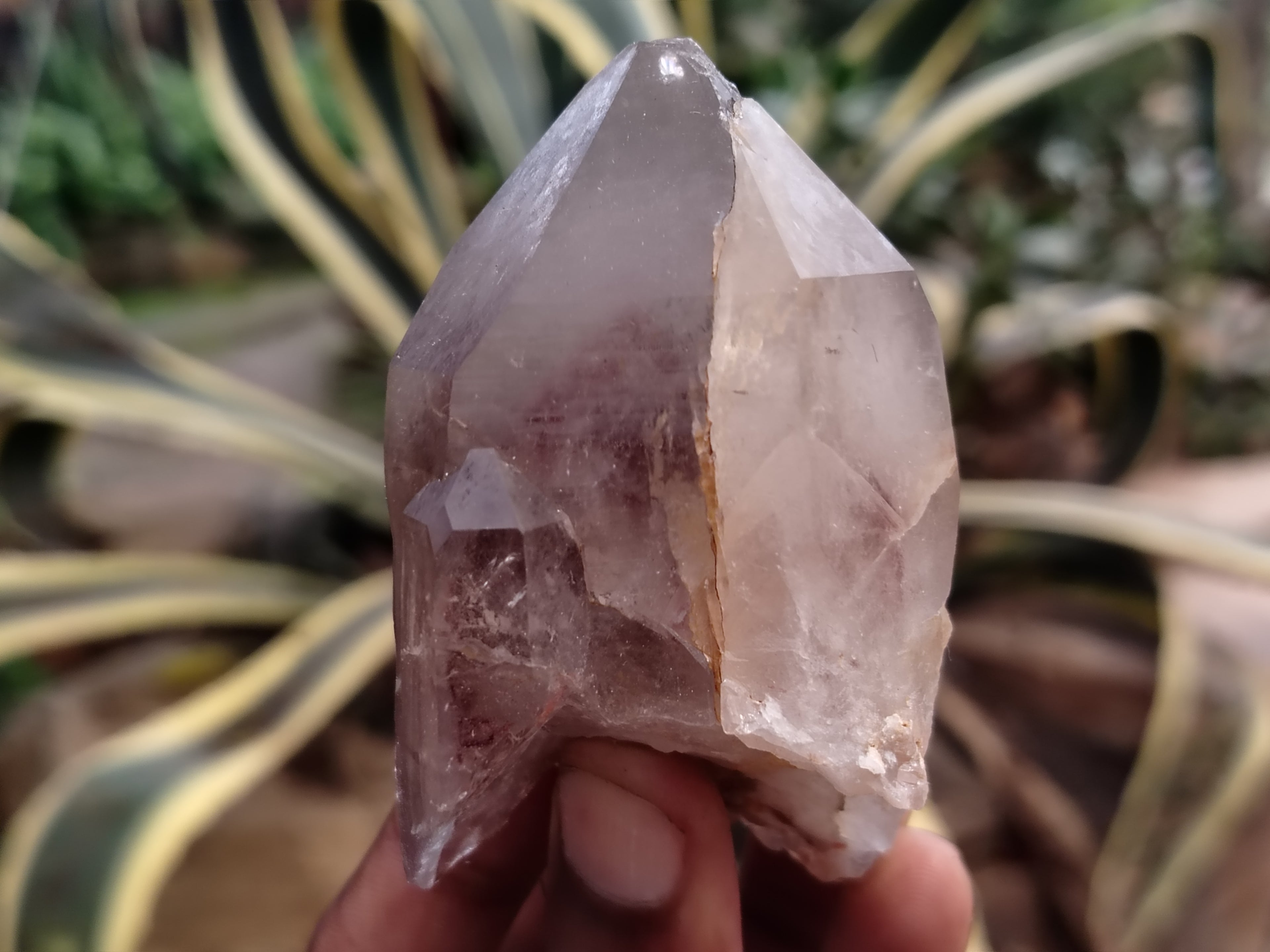 Natural Red Hematoid Quartz Clusters x 12 From Karoi, Zimbabwe - Toprock Gemstones and Minerals 