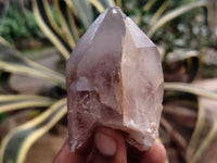 Natural Red Hematoid Quartz Clusters x 12 From Karoi, Zimbabwe - Toprock Gemstones and Minerals 