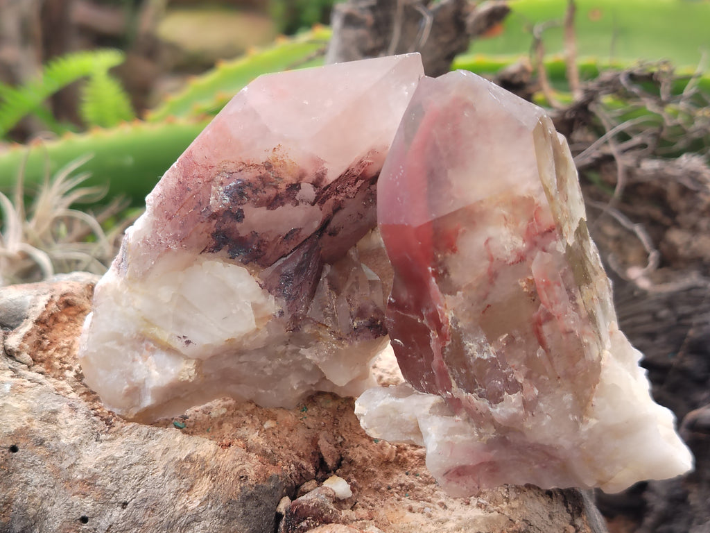 Natural Red Hematoid Quartz Clusters x 12 From Karoi, Zimbabwe - Toprock Gemstones and Minerals 
