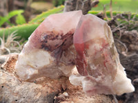 Natural Red Hematoid Quartz Clusters x 12 From Karoi, Zimbabwe - Toprock Gemstones and Minerals 