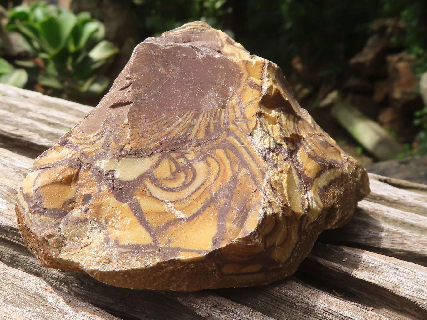 Natural Nguni Jasper Cobbed Specimens x 12 From Prieska, South Africa - Toprock Gemstones and Minerals 