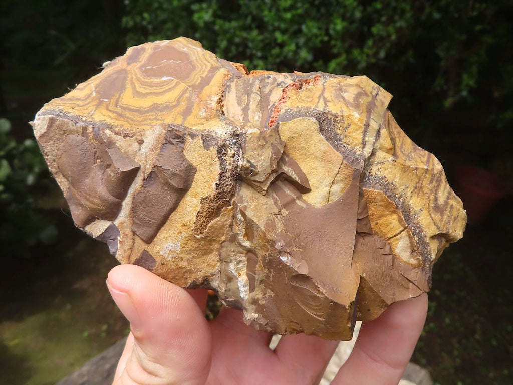 Natural Nguni Jasper Cobbed Specimens x 12 From Prieska, South Africa - Toprock Gemstones and Minerals 