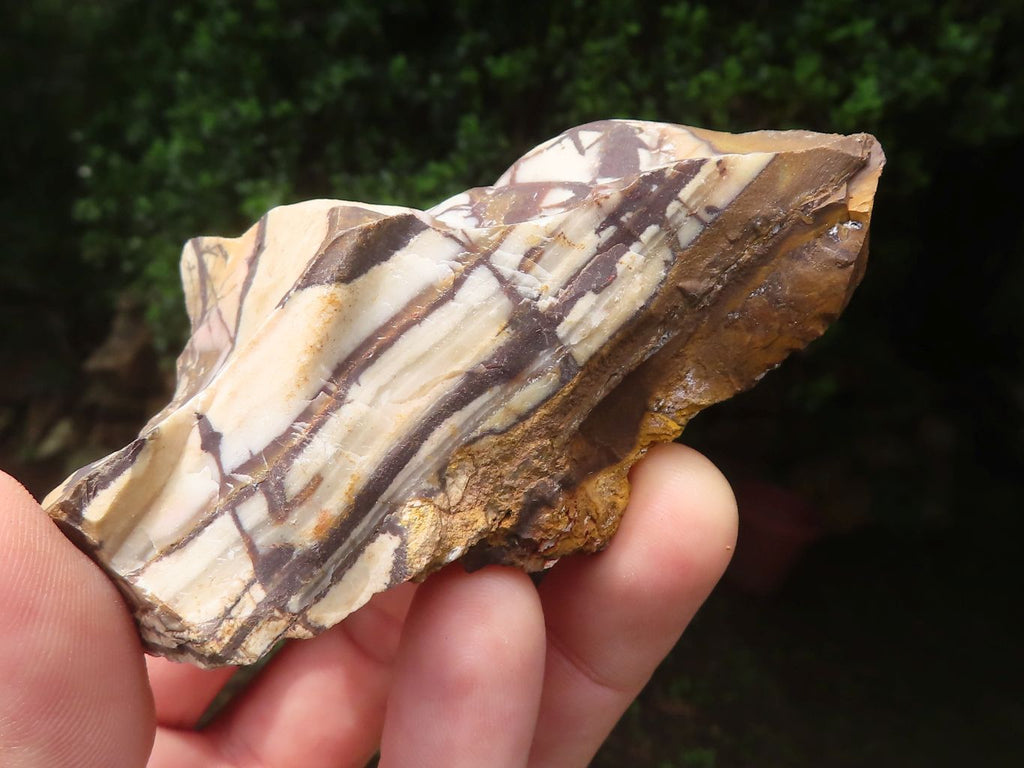 Natural Nguni Jasper Cobbed Specimens x 12 From Prieska, South Africa - Toprock Gemstones and Minerals 