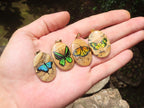 Polished Picture Stone Pendant with Hand Painted Butterflies - Sold Per Item - From Namibia - Toprock Gemstones and Minerals 