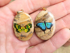 Polished Picture Stone Pendant with Hand Painted Butterflies - Sold Per Item - From Namibia - Toprock Gemstones and Minerals 