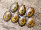 Polished Polychrome Jasper Pendant with Hand Painted Lion - sold per item - From Madagascar - Toprock Gemstones and Minerals 