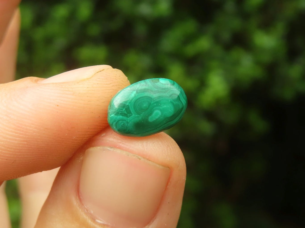 Hand Made Flower Malachite Oval Stud Earrings - Sold Per Pair - From Congo - Toprock Gemstones and Minerals 