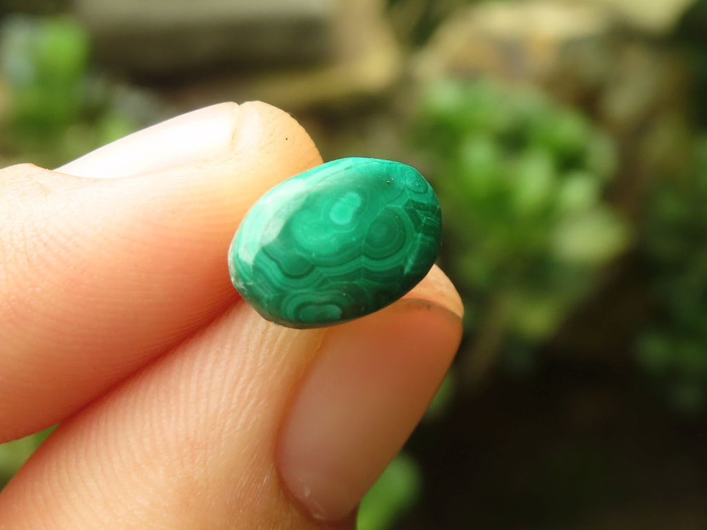 Hand Made Flower Malachite Oval Stud Earrings - Sold Per Pair - From Congo - Toprock Gemstones and Minerals 